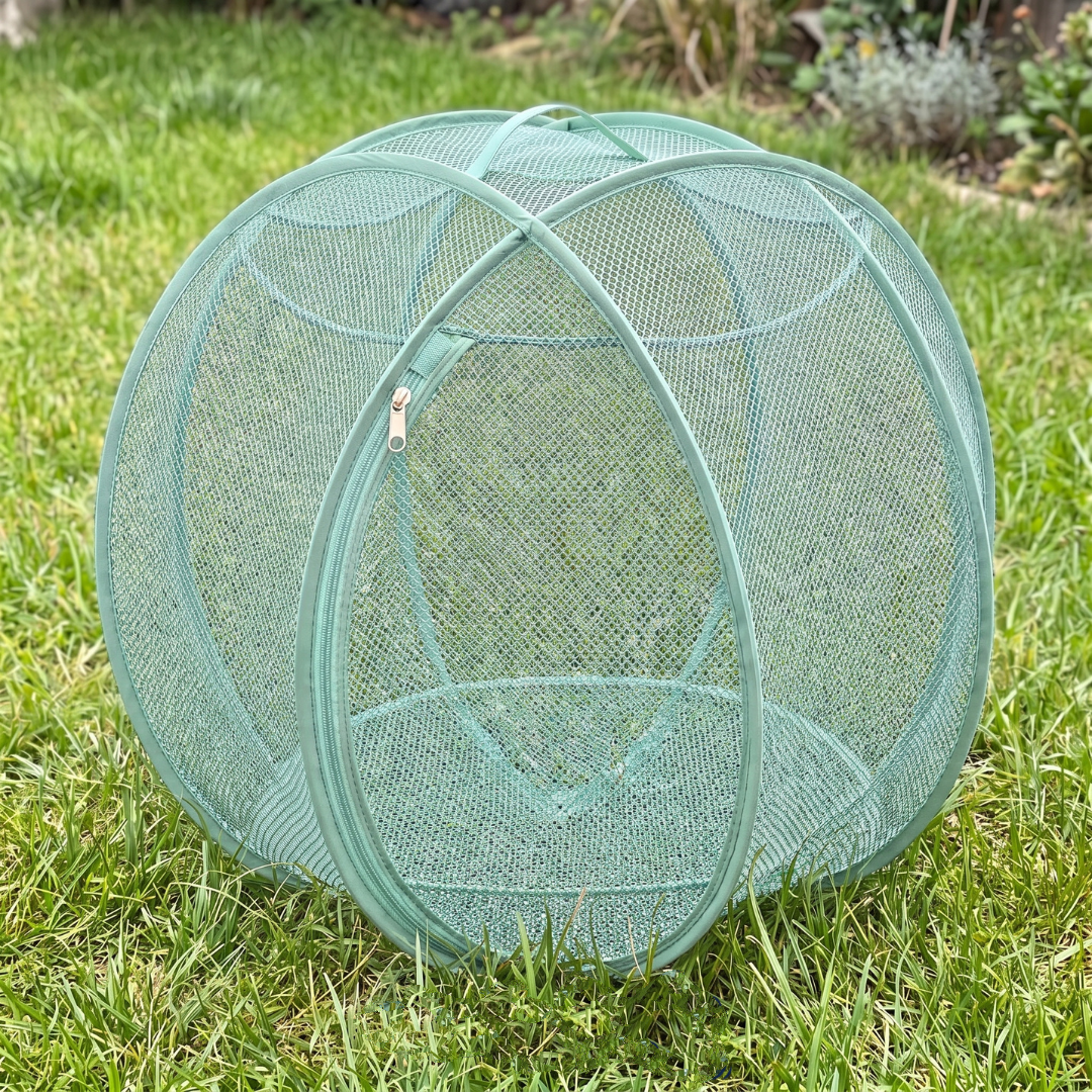 Fluffball™ - Outdoor Pet Playpen